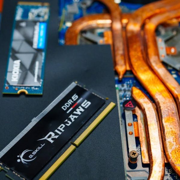 pexels-photo-33792050